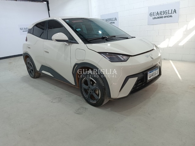 Veículo BYD DOLPHIN MINI BYD DOLPHIN MINI GS5EV 2024/2025 Elétrico 2025 em leilão