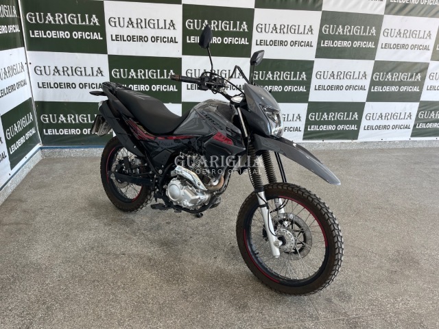 Veículo SHINERAY SHI SHINERAY/SHI 175 2024 Conservado 2025 em leilão