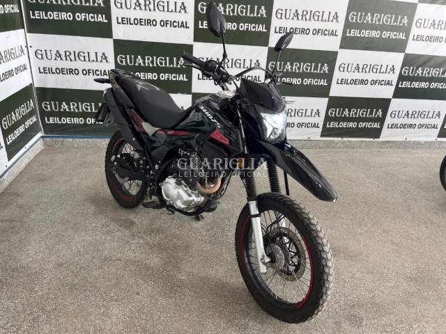 Veículo SHINERAY SHI SHINERAY/SHI 175 2024 2025 em leilão